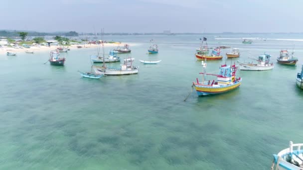Imagens Aéreas Alguns Barcos Pesca Baía Weligama Sri Lanka Filmagem — Vídeo de Stock