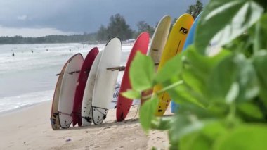 Palmiye ağaçları ve mavi gökyüzü üzerinde Sri Lanka açıklarındaki ile kumlu plaj tropikal adada renkli sörfçü panoları görünümü  