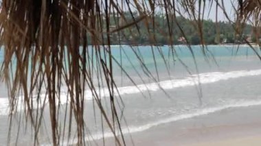 Palmiye ağaçları ile tropik ada üzerinde Sri Lanka açıklarındaki görünümünü