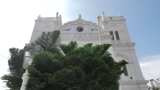 Palmiye Ağaçları Mavi Gökyüzü Üzerinde Sahil Tropikal Ada Sri Lanka — Stok video
