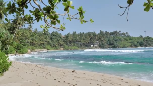 Vue Sur Plage Sable Île Tropicale Avec Palmiers Ciel Bleu — Video