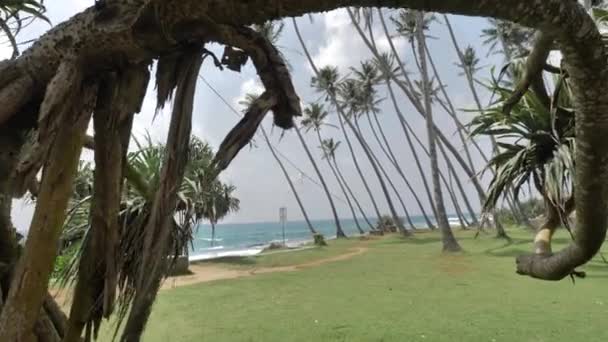 Vista Ilha Tropical Com Palmeiras Céu Azul Costa Sri Lanka — Vídeo de Stock