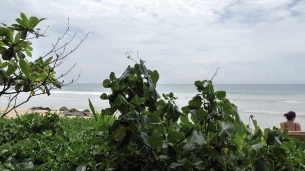Вид Тропический Остров Зелеными Деревьями Голубым Небом Побережье Шри Ланки — стоковое видео