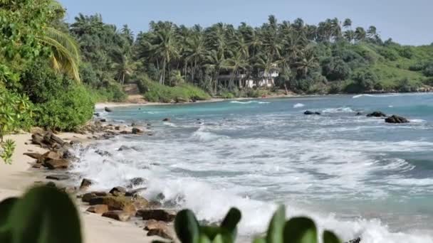 Vue de la plage rocheuse de l'île tropicale avec palmiers et ciel bleu sur la côte du Sri Lanka   