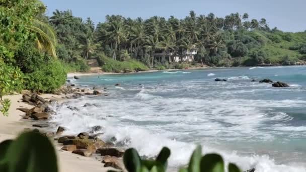 Utsikt Över Steniga Stranden Tropical Island Med Palmer Och Blå — Stockvideo