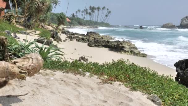 ヤシの木と青い空スリランカ海岸に砂浜ビーチの熱帯の島の表示 — ストック動画