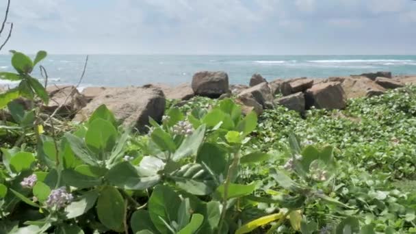 Vue Plage Rocheuse Île Tropicale Avec Des Arbres Verts Ciel — Video