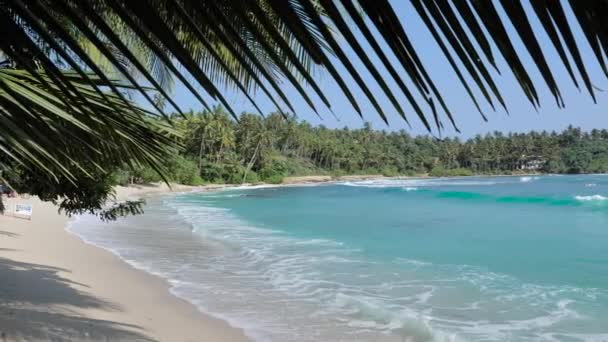 Vista Playa Arena Isla Tropical Con Palmeras Cielo Azul Costa — Vídeo de stock