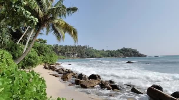 Veduta Dell Isola Tropicale Con Palme Cielo Blu Sulla Costa — Video Stock