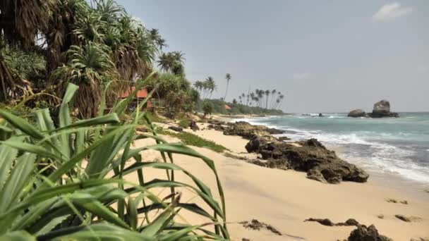 从斯里兰卡海岸的棕榈树和蓝天看热带岛屿的沙滩 — 图库视频影像