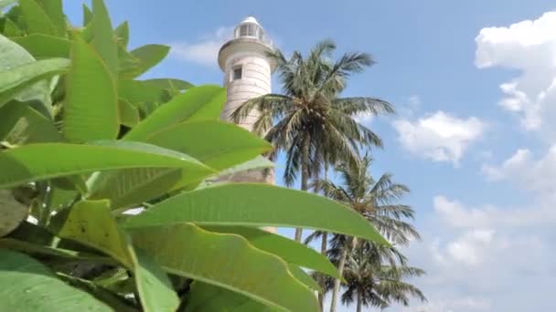 ヤシの木と古代建物スリランカの海岸と熱帯の島の表示 — ストック動画
