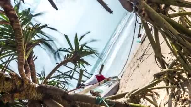 Tidsfördröjning För Roterande Palms Och Båtar Stranden Blå Himmel — Stockvideo