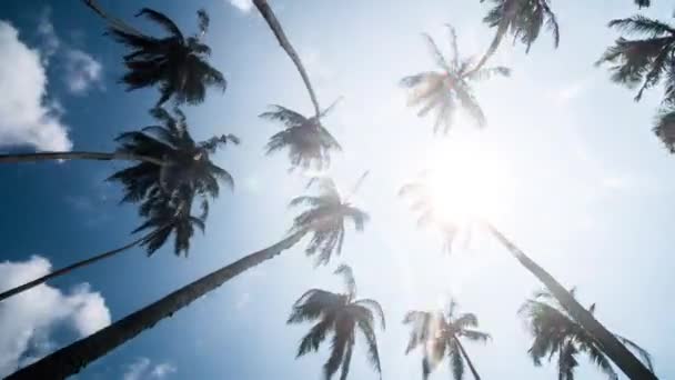 Lapso Tiempo Las Palmas Bajo Cielo Azul Nublado — Vídeo de stock