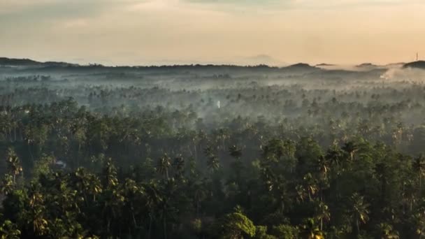 Ampliar Niebla Sobre Las Palmas Las Manos Durante Amanecer — Vídeo de stock