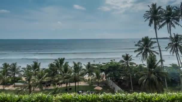 Lasso Tempo Palme Onde Oceaniche Lungo Costa Durante Giorno — Video Stock