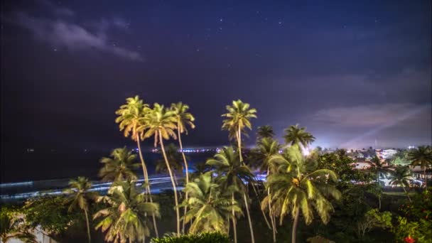 Time Lapse Des Palmiers Des Vagues Océaniques Long Littoral Nuit — Video