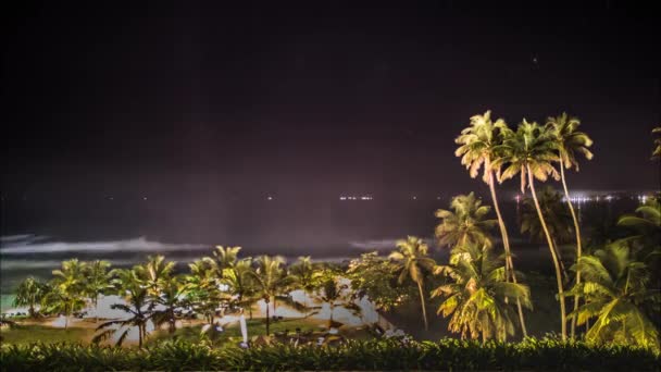 Lapso Tiempo Las Palmeras Las Olas Del Océano Largo Costa — Vídeos de Stock