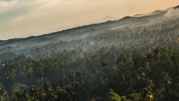 Πάροδο Του Χρόνου Ομίχλη Πάνω Από Παλάμες Κορυφές Κατά Την — Αρχείο Βίντεο