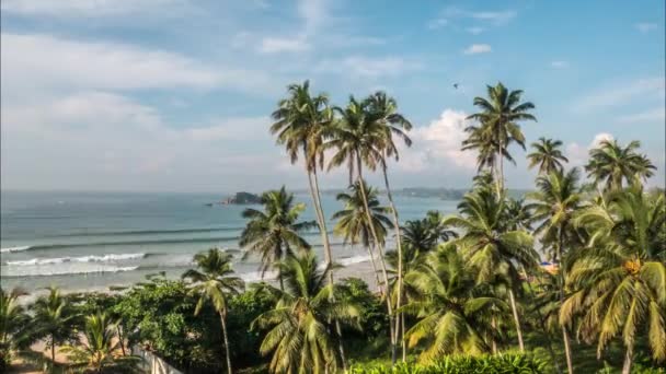 Time Lapse Birds Flying Ocean Waves Movement Coastline Blue Cloudy — Stock Video