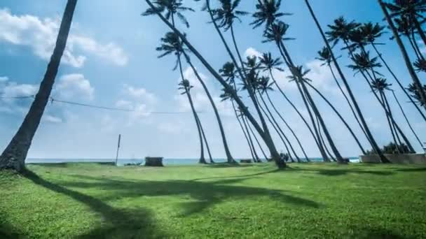 Временной Промежуток Движения Облаков Над Людьми Ходьба Зеленая Трава Пальмы — стоковое видео