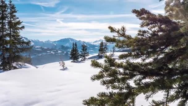 Горы Лесным Пейзажем Панорама Сигнина Timelapse — стоковое видео