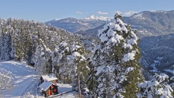 Paysage Hiver Avec Arbres Neigeux Vue Aérienne — Video