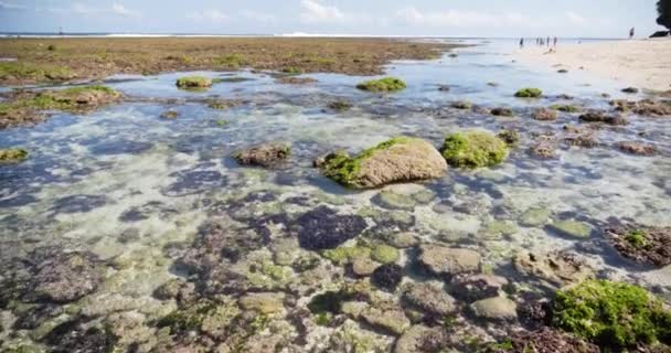 Kamienie Wodzie Oceanicznej Ciągu Dnia — Wideo stockowe