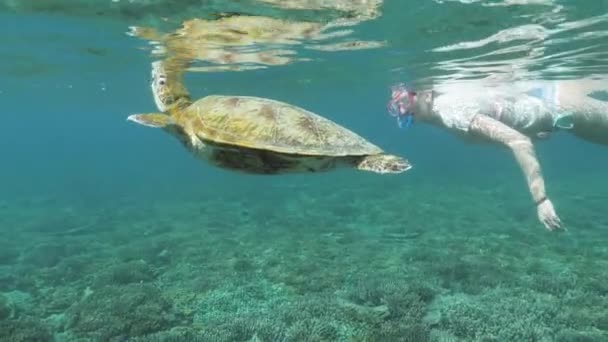 Schildpad Vrouw Snorkelen Rif Onderwater Langzame Beweging — Stockvideo