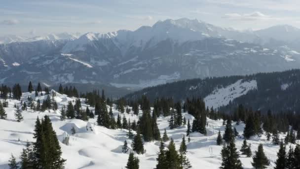 Winterwunderland Schneelandschaft Luftaufnahme — Stockvideo