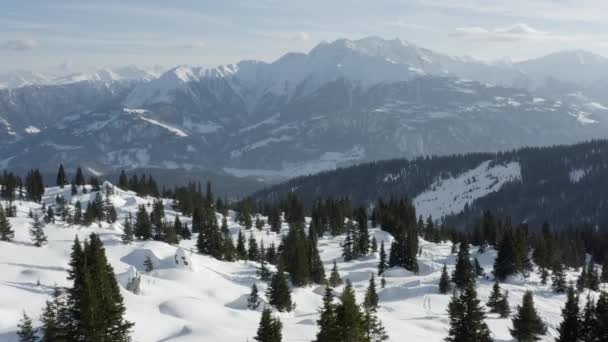 Paese Delle Meraviglie Invernali Paesaggio Neve Vista Aerea — Video Stock