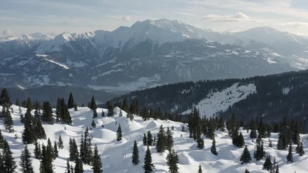 Winter Wonderland Snow Landscape Aerial View Royalty Free Stock Video