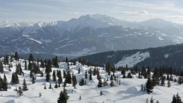Winterwonderland Sneeuwlandschap Uitzicht Lucht — Stockvideo