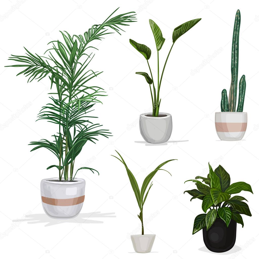部屋の植物手描きの背景イラスト — ストックベクター © natalka.dmitrova