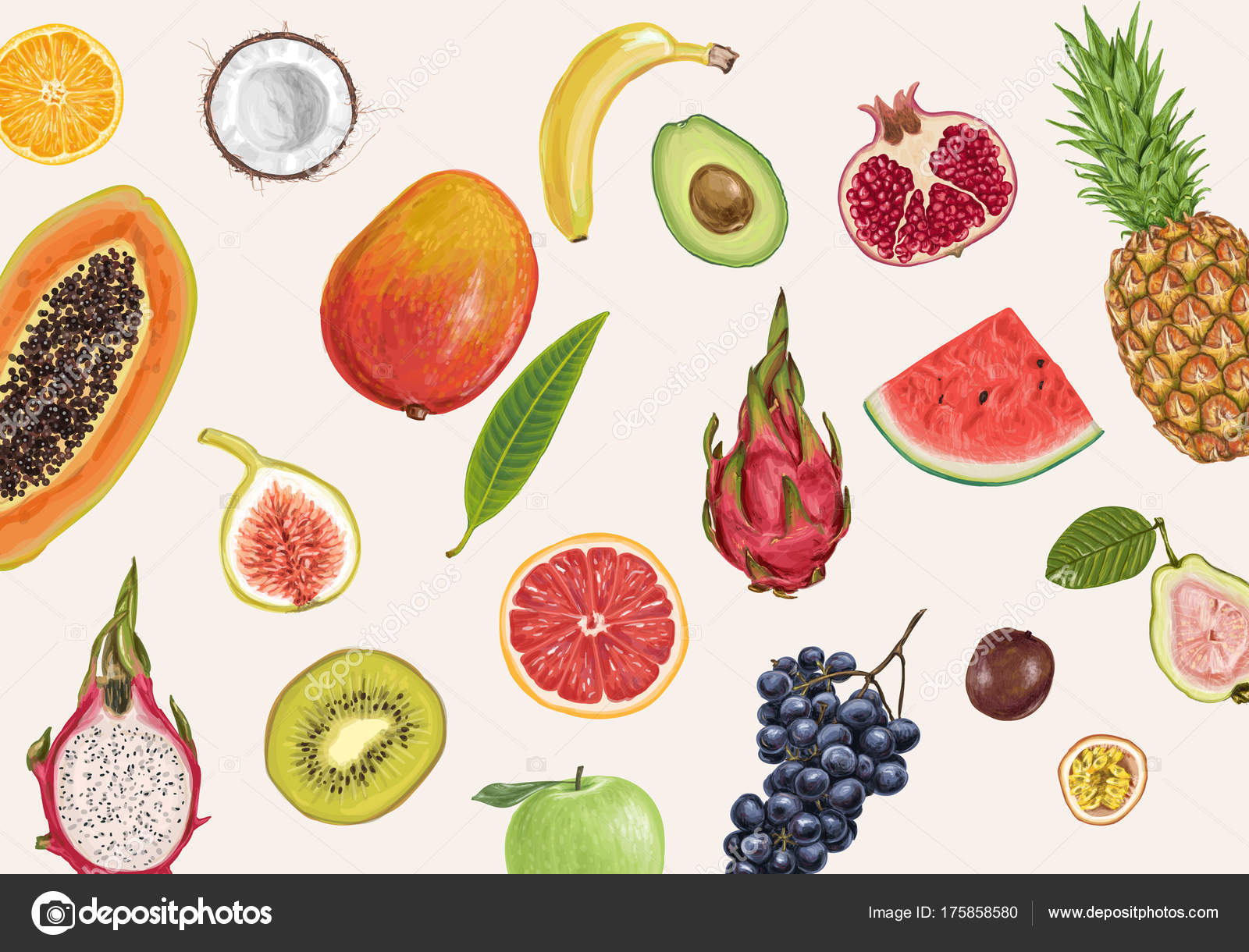 Raccolta Frutta Sugosa Fresca — Vettoriale Stock