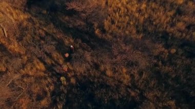 Safari avcılar Namibya savannah yürürken.