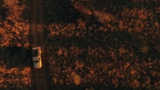 SUV pour safari le long du chemin dans la savane au coucher du soleil .