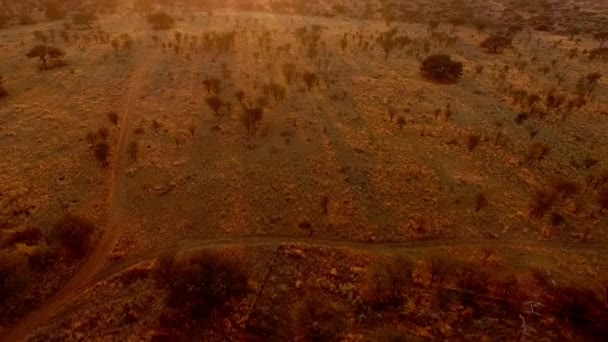 I raggi del sole al tramonto illuminano la natura della Namibia . — Video Stock