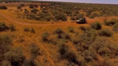Afrika vahşi hayvanlar arasında savana ile Suv sürüş.