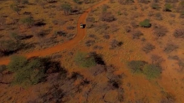 차가 나미비아의 사바나에 저녁에 오프 로드. — 비디오