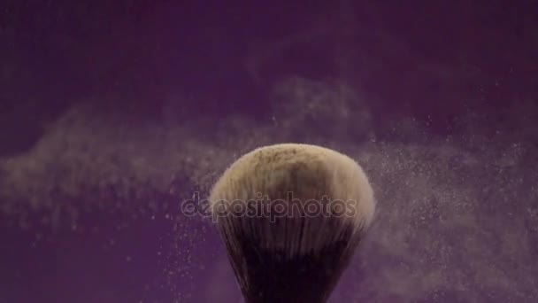Πινέλο για βάση τονικό τινάζει σκόνη από ένα φουντωτό πινέλο — Αρχείο Βίντεο