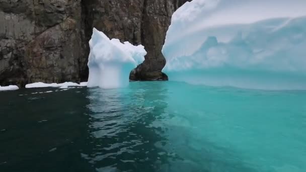 Close-up of small glaciers in the water. Andreev. — Stock Video
