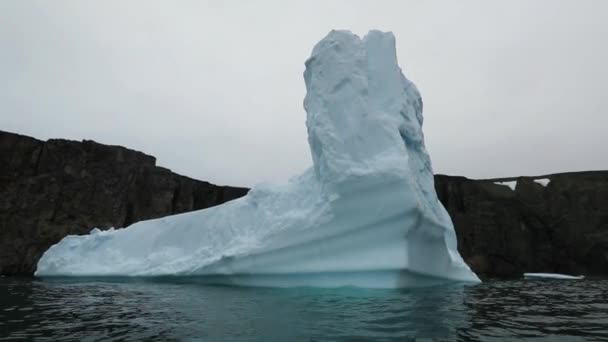 Glaciären flyter nära stranden. Andreev. — Stockvideo