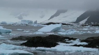 Dalgalar taşlar Bay karşı dövüyorsun. Andreev.