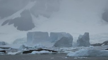 Buzul float uçurumun kıyıya yakın parçalar. Andreev.