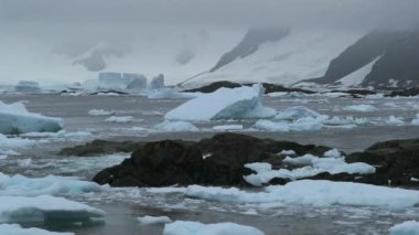Dalgalar taşlar ve serpin bölünürler. Andreev.