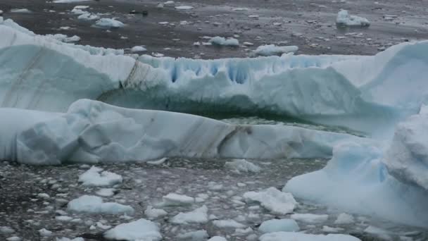 Os destroços do glaciar flutuam no oceano. Andreev . — Vídeo de Stock