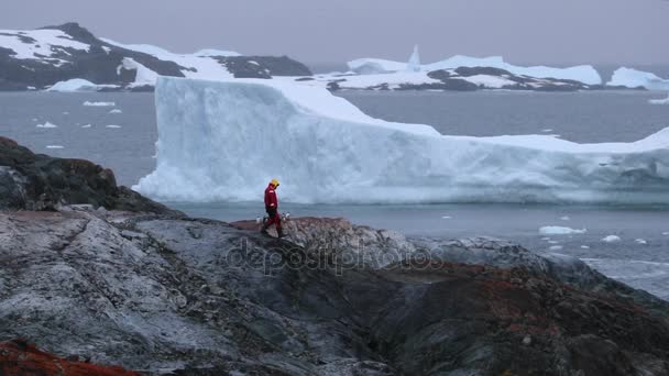 Um homem anda pelas rochas na Antártida. Andreev . — Vídeo de Stock