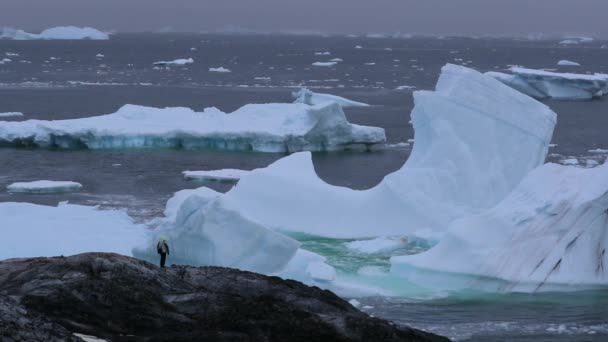 Ein Tourist steht inmitten schwimmender Eisberge. andreev. — Stockvideo