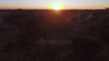 Uçağı savana yükselir.