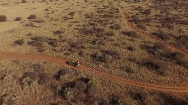 Geländewagen mit Touristen auf einer unbefestigten Straße auf Safari. — Stockvideo